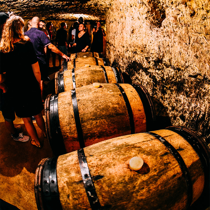 Visite d'une cave d Vouvray avec ses tonneaux