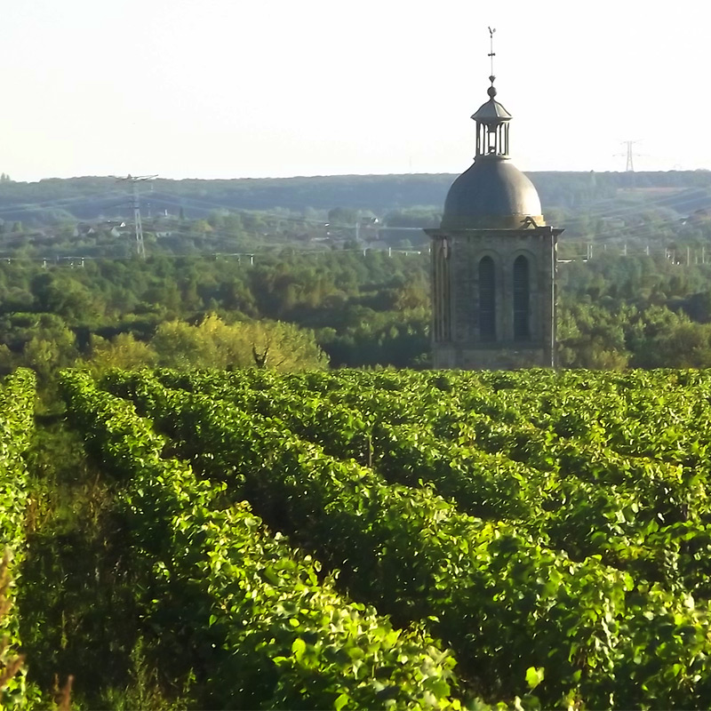 Vue du domaine Olivier Carêùe sur le clocher de Vouvray