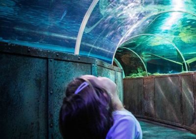 Petite fille admirant les poissons à l'Aquarium de Touraine